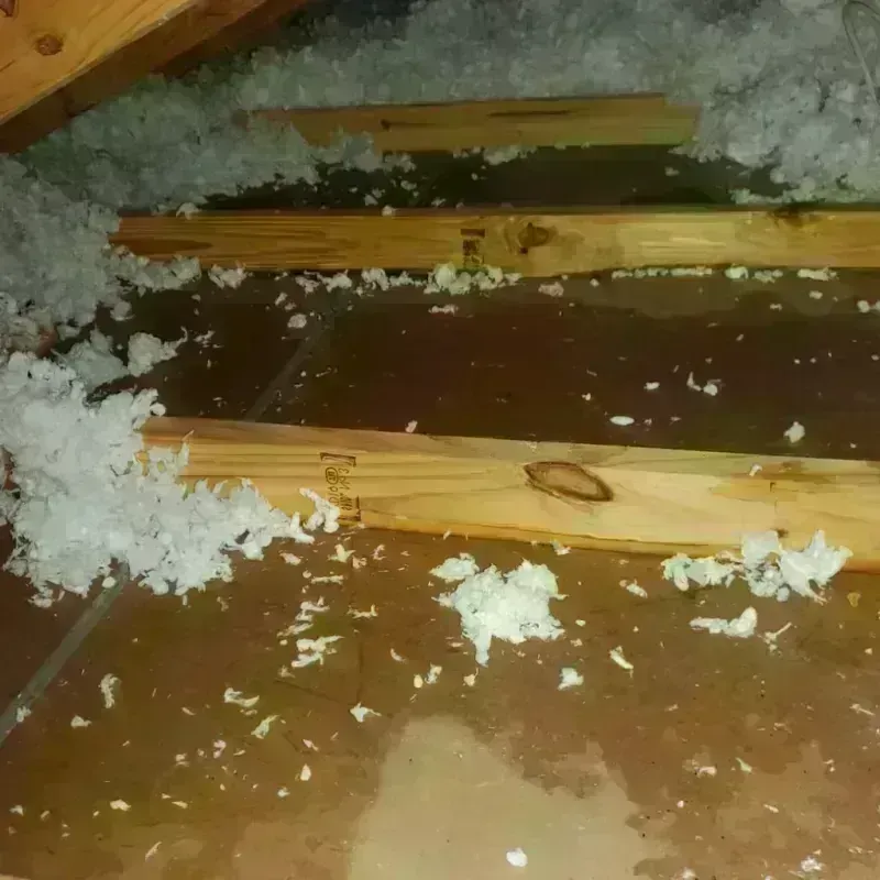 Attic Water Damage in Laurel, MS