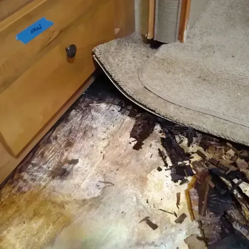 Best Wood Floor Water Damage Service in Laurel, MS